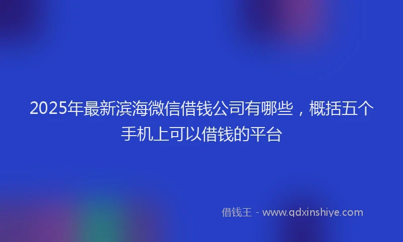 2025年最新滨海微信借钱公司有哪些，概括五个手机上可以借钱的平台