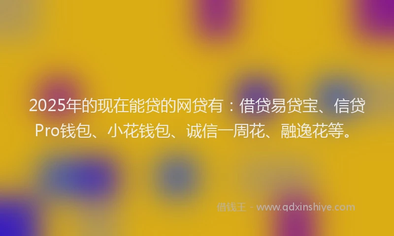 2025年的现在能贷的网贷有：借贷易贷宝、信贷Pro钱包、小花钱包、诚信一周花、融逸花等。