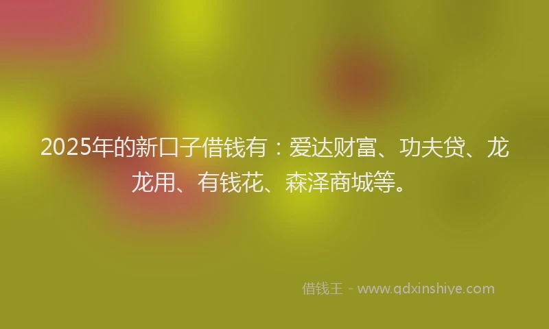 2025年的新口子借钱有：爱达财富、功夫贷、龙龙用、有钱花、森泽商城等。