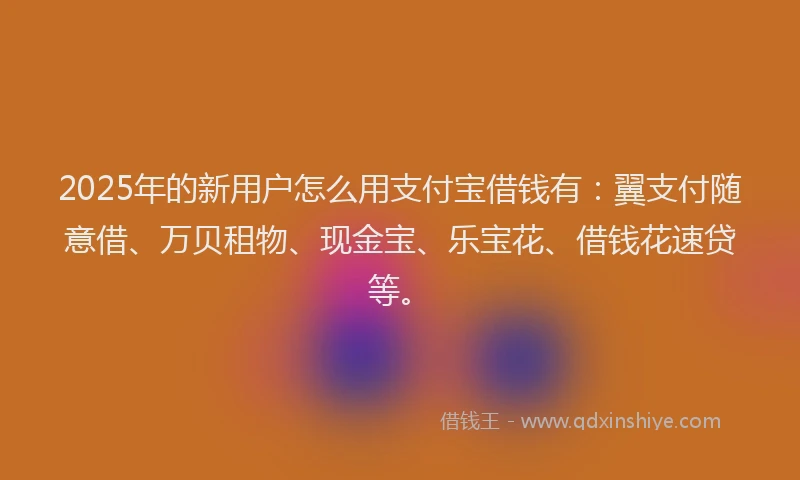 2025年的新用户怎么用支付宝借钱有：翼支付随意借、万贝租物、现金宝、乐宝花、借钱花速贷等。