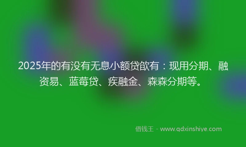 2025年的有没有无息小额贷欿有：现用分期、融资易、蓝莓贷、疾融金、森森分期等。