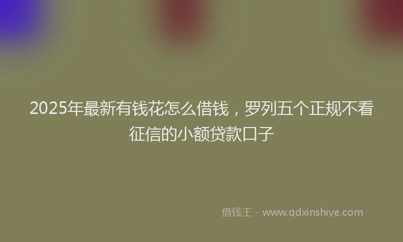 2025年最新有钱花怎么借钱，罗列五个正规不看征信的小额贷款口子