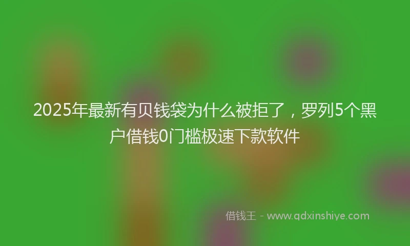 2025年最新有贝钱袋为什么被拒了，罗列5个黑户借钱0门槛极速下款软件