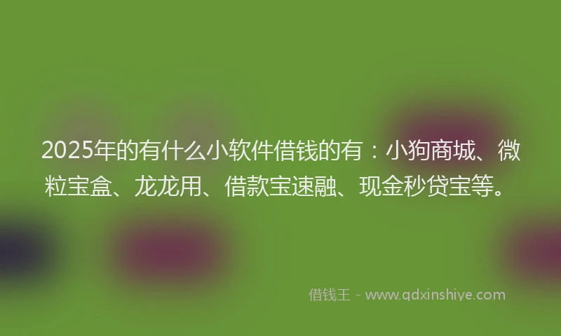 2025年的有什么小软件借钱的有：小狗商城、微粒宝盒、龙龙用、借款宝速融、现金秒贷宝等。