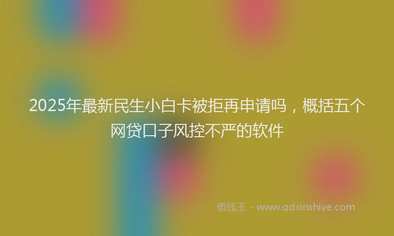 2025年最新民生小白卡被拒再申请吗，概括五个网贷口子风控不严的软件
