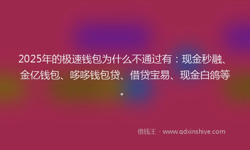 2025年的极速钱包为什么不通过有：现金秒融、金亿钱包、哆哆钱包贷、借贷宝易、现金白鸽等。