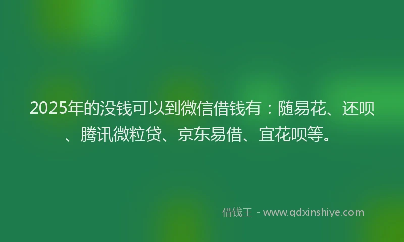 2025年的没钱可以到微信借钱有：随易花、还呗、腾讯微粒贷、京东易借、宜花呗等。