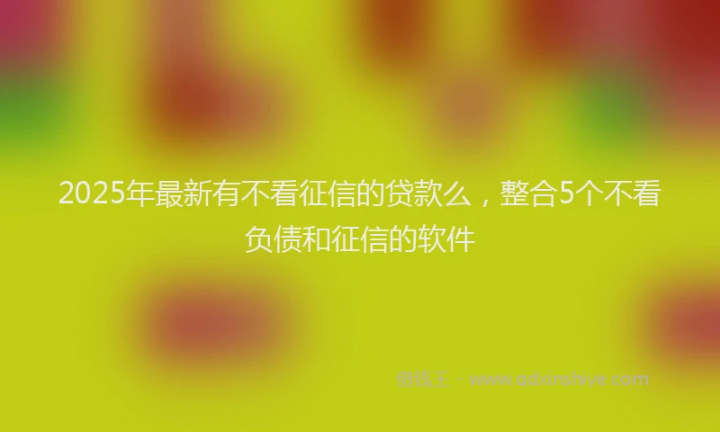 2025年最新有不看征信的贷款么，整合5个不看负债和征信的软件