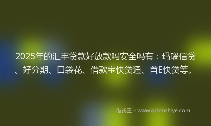 2025年的汇丰贷款好放款吗安全吗有：玛瑙信贷、好分期、口袋花、借款宝快贷通、首E快贷等。