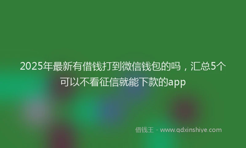 2025年最新有借钱打到微信钱包的吗，汇总5个可以不看征信就能下款的app