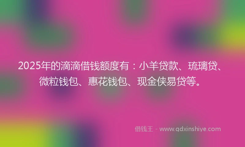 2025年的滴滴借钱额度有：小羊贷款、琉璃贷、微粒钱包、惠花钱包、现金侠易贷等。