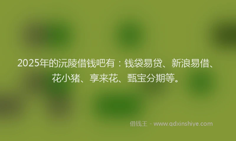 2025年的沅陵借钱吧有：钱袋易贷、新浪易借、花小猪、享来花、甄宝分期等。