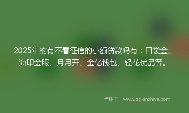 2025年的有不看征信的小额贷款吗有：口袋金、海印金服、月月开、金亿钱包、轻花优品等。