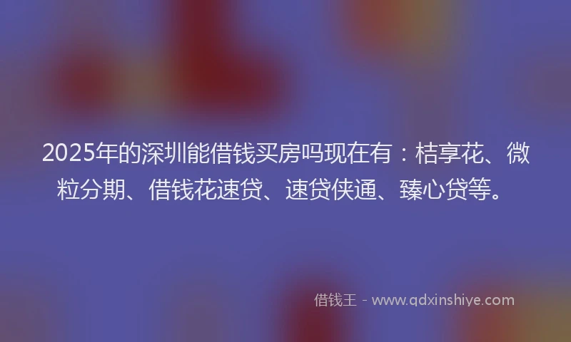 2025年的深圳能借钱买房吗现在有：桔享花、微粒分期、借钱花速贷、速贷侠通、臻心贷等。