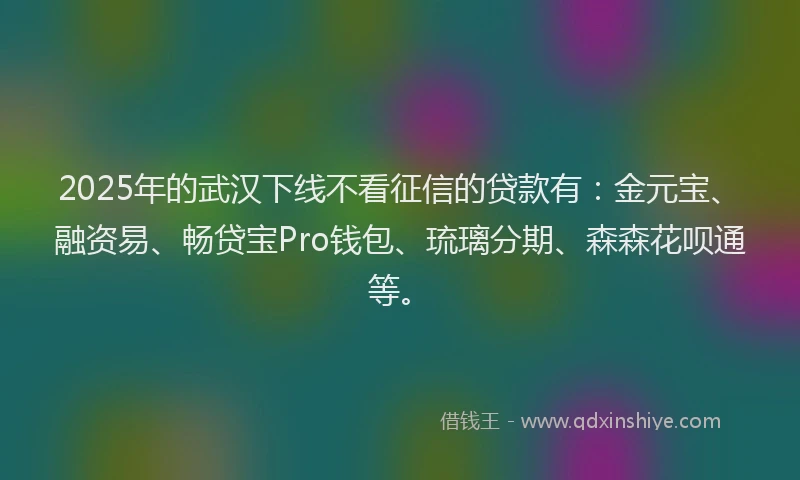 2025年的武汉下线不看征信的贷款有：金元宝、融资易、畅贷宝Pro钱包、琉璃分期、森森花呗通等。