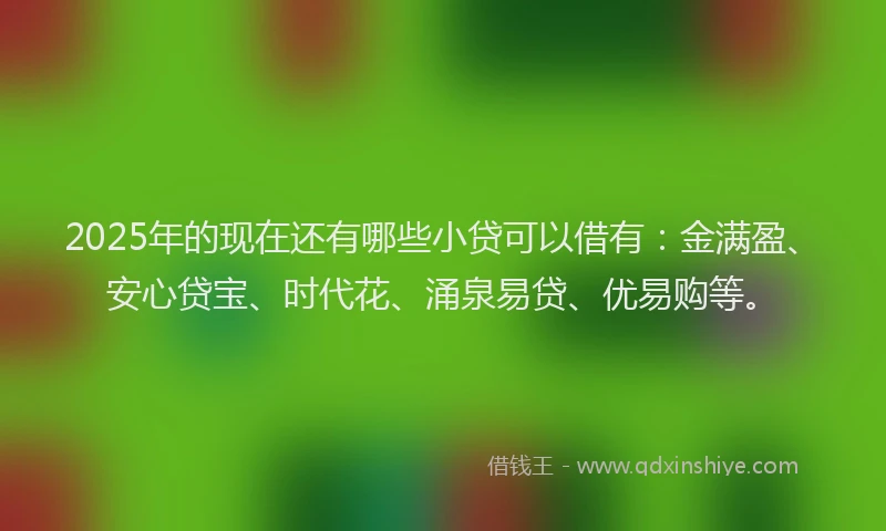 2025年的现在还有哪些小贷可以借有：金满盈、安心贷宝、时代花、涌泉易贷、优易购等。