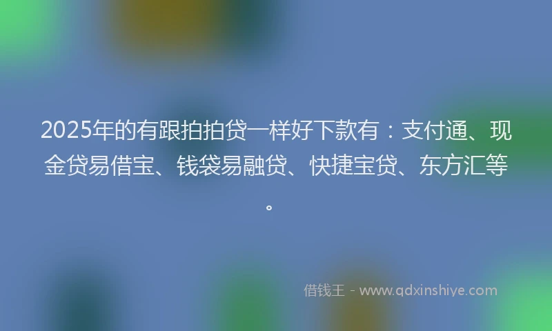 2025年的有跟拍拍贷一样好下款有：支付通、现金贷易借宝、钱袋易融贷、快捷宝贷、东方汇等。