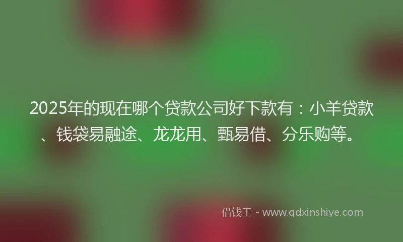 2025年的现在哪个贷款公司好下款有:小羊贷款、钱袋易融途、龙龙用、甄易借、分乐购等。