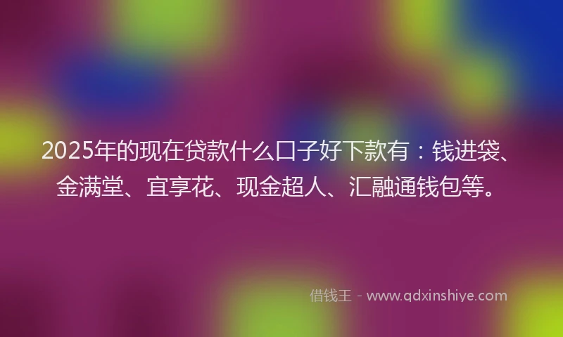 2025年的现在贷款什么口子好下款有：钱进袋、金满堂、宜享花、现金超人、汇融通钱包等。