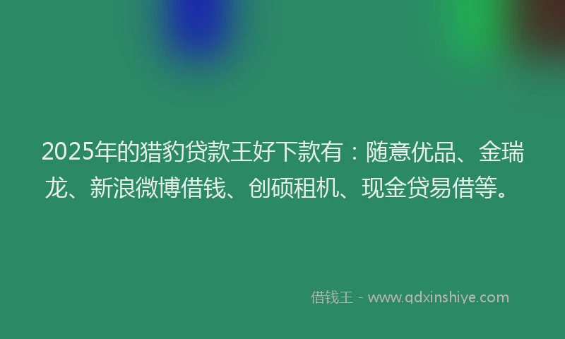 2025年的猎豹贷款王好下款有：随意优品、金瑞龙、新浪微博借钱、创硕租机、现金贷易借等。