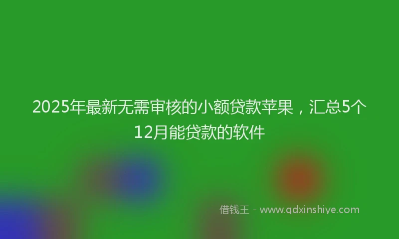 2025年最新无需审核的小额贷款苹果，汇总5个12月能贷款的软件