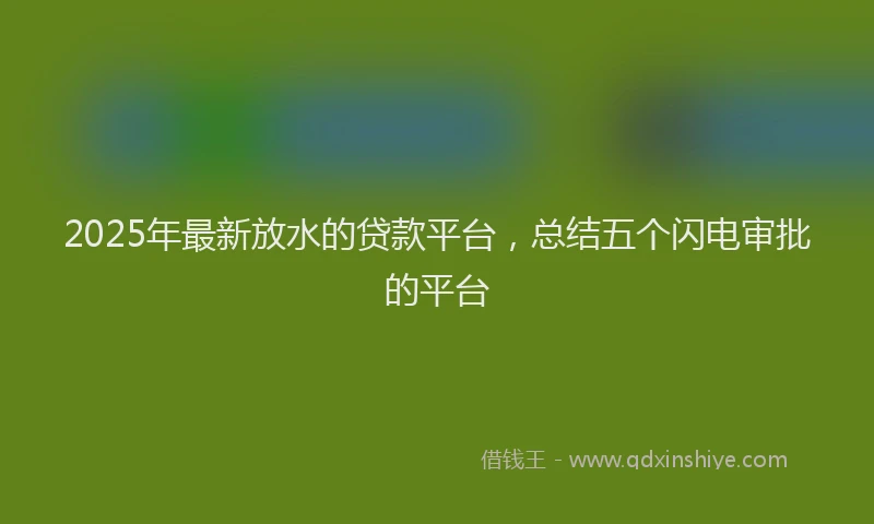 2025年最新放水的贷款平台，总结五个闪电审批的平台
