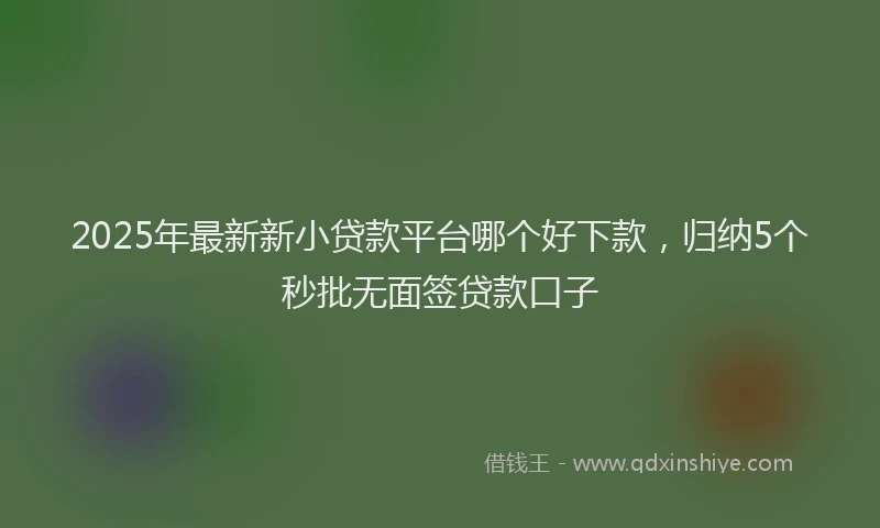 2025年最新新小贷款平台哪个好下款，归纳5个秒批无面签贷款口子