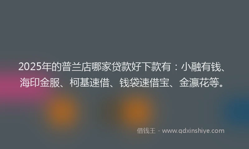 2025年的普兰店哪家贷款好下款有：小融有钱、海印金服、柯基速借、钱袋速借宝、金瀛花等。