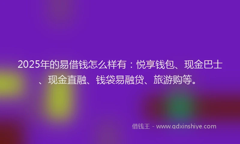 2025年的易借钱怎么样有：悦享钱包、现金巴士、现金直融、钱袋易融贷、旅游购等。