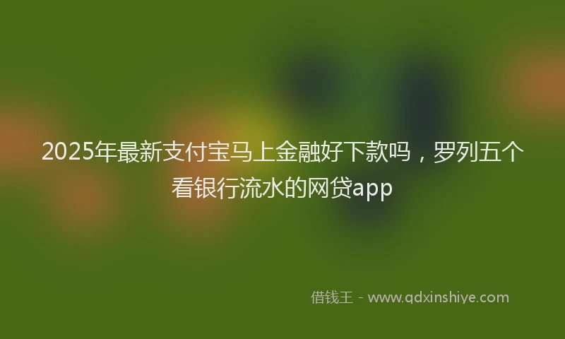 2025年最新支付宝马上金融好下款吗，罗列五个看银行流水的网贷app