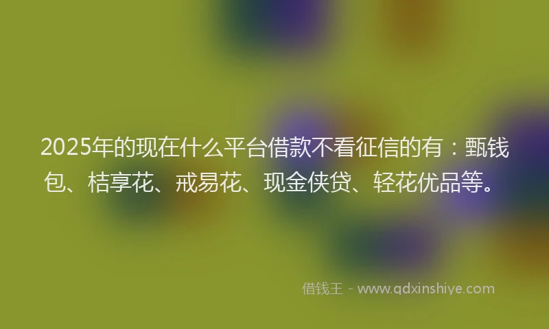 2025年的现在什么平台借款不看征信的有：甄钱包、桔享花、戒易花、现金侠贷、轻花优品等。