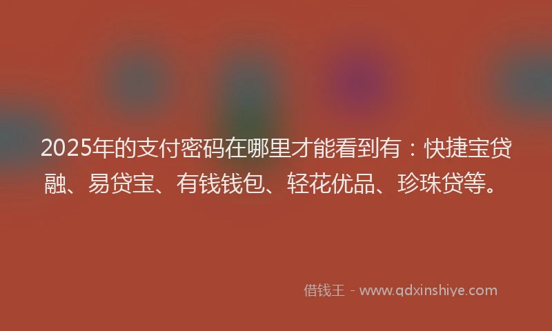 2025年的支付密码在哪里才能看到有：快捷宝贷融、易贷宝、有钱钱包、轻花优品、珍珠贷等。