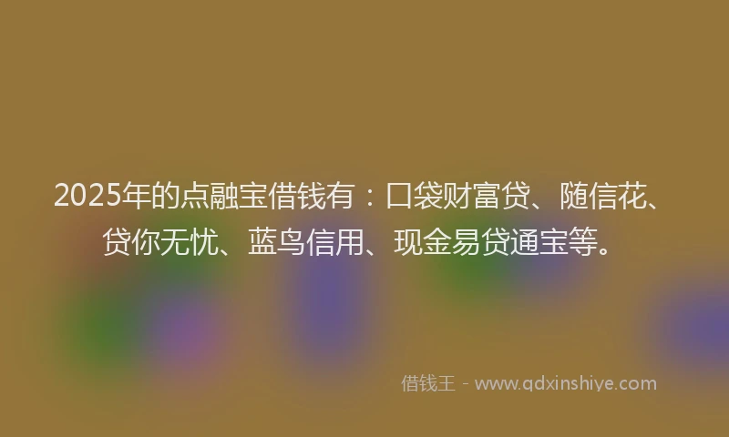 2025年的点融宝借钱有：口袋财富贷、随信花、贷你无忧、蓝鸟信用、现金易贷通宝等。