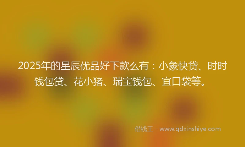 2025年的星辰优品好下款么有：小象快贷、时时钱包贷、花小猪、瑞宝钱包、宜口袋等。