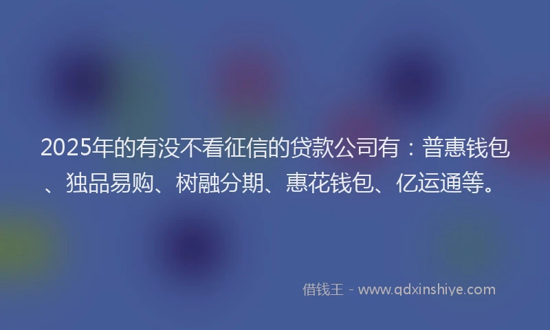 2025年的有没不看征信的贷款公司有：普惠钱包、独品易购、树融分期、惠花钱包、亿运通等。