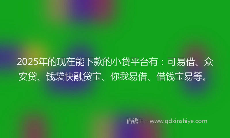 2025年的现在能下款的小贷平台有：可易借、众安贷、钱袋快融贷宝、你我易借、借钱宝易等。