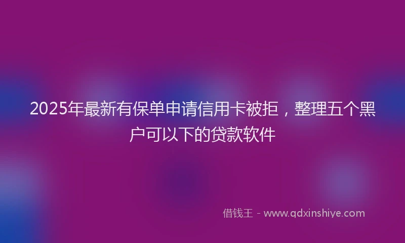 2025年最新有保单申请信用卡被拒，整理五个黑户可以下的贷款软件