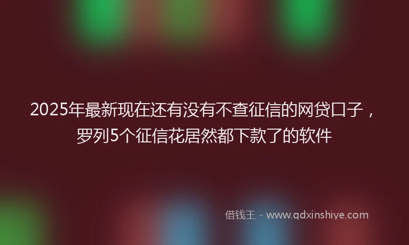 2025年最新现在还有没有不查征信的网贷口子，罗列5个征信花居然都下款了的软件