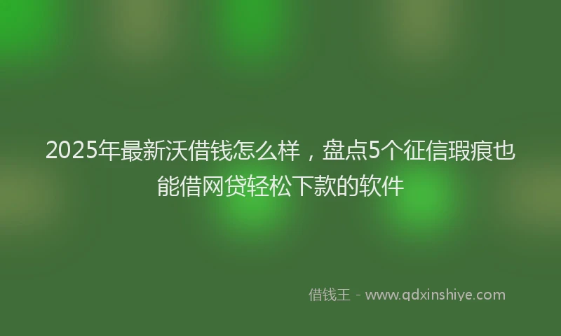 2025年最新沃借钱怎么样，盘点5个征信瑕疵也能借网贷轻松下款的软件