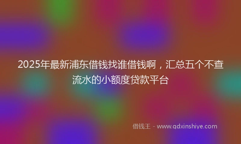 2025年最新浦东借钱找谁借钱啊，汇总五个不查流水的小额度贷款平台