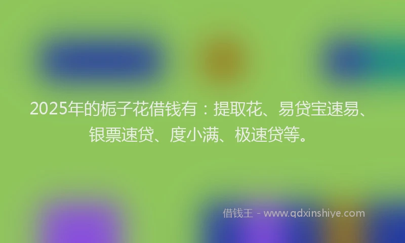 2025年的栀子花借钱有：提取花、易贷宝速易、银票速贷、度小满、极速贷等。