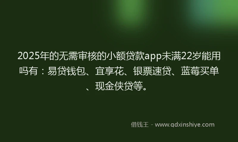 2025年的无需审核的小额贷款app未满22岁能用吗有：易贷钱包、宜享花、银票速贷、蓝莓买单、现金侠贷等。