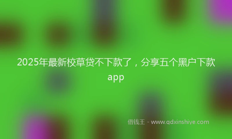 2025年最新校草贷不下款了，分享五个黑户下款app