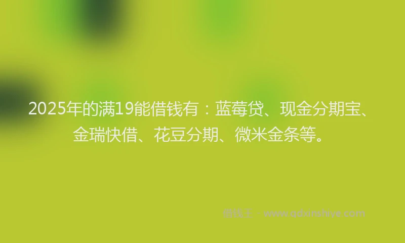 2025年的满19能借钱有：蓝莓贷、现金分期宝、金瑞快借、花豆分期、微米金条等。