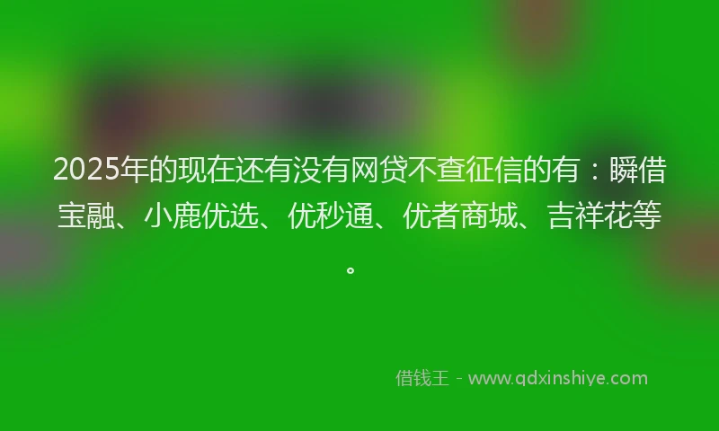 2025年的现在还有没有网贷不查征信的有：瞬借宝融、小鹿优选、优秒通、优者商城、吉祥花等。
