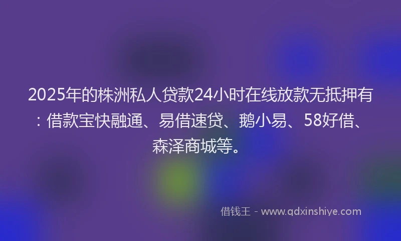 2025年的株洲私人贷款24小时在线放款无抵押有：借款宝快融通、易借速贷、鹅小易、58好借、森泽商城等。