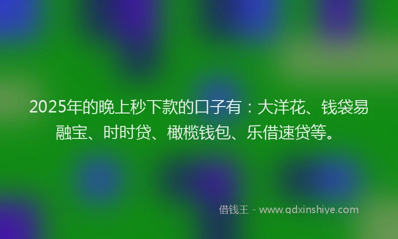 2025年的晚上秒下款的口子有：大洋花、钱袋易融宝、时时贷、橄榄钱包、乐借速贷等。