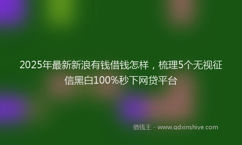 2025年最新新浪有钱借钱怎样，梳理5个无视征信黑白100%秒下网贷平台