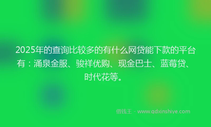2025年的查询比较多的有什么网贷能下款的平台有：涌泉金服、骏祥优购、现金巴士、蓝莓贷、时代花等。