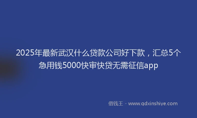 2025年最新武汉什么贷款公司好下款，汇总5个急用钱5000快审快贷无需征信app